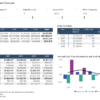 Forecast dashboard with cash flow, debt schedule, balance sheet, and annual cash movements.